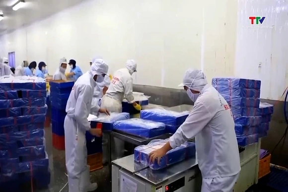 Giá cá tra lập đỉnh, xuất khẩu khởi sắc