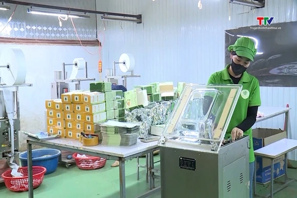 Phát triển kinh tế hợp tác xã khu vực miền núi Thanh Hóa
