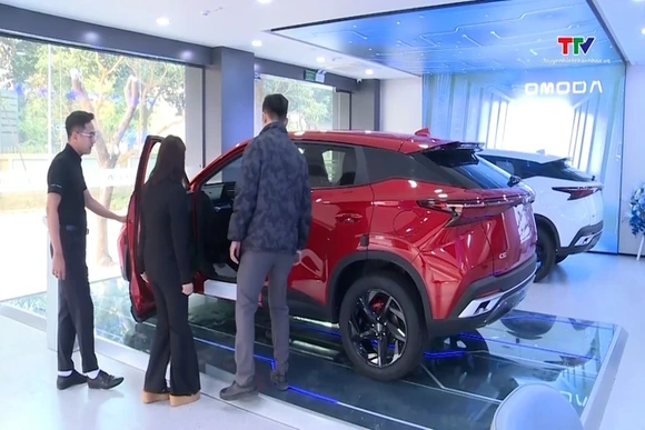 Tháng 1/2026: Nhập khẩu ô tô tăng nhẹ