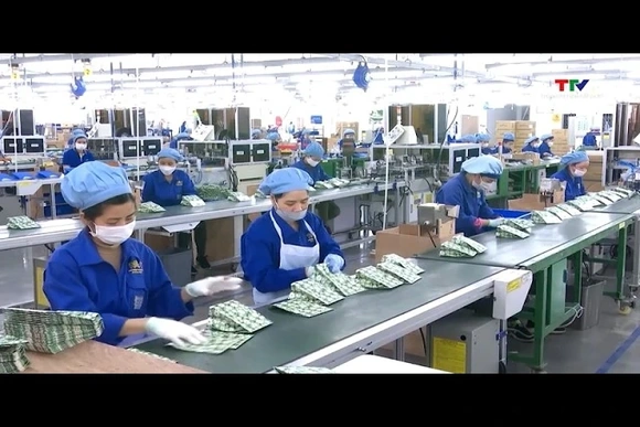 Tháng 1/2026 có gần 49.000 doanh nghiệp gia nhập thị trường