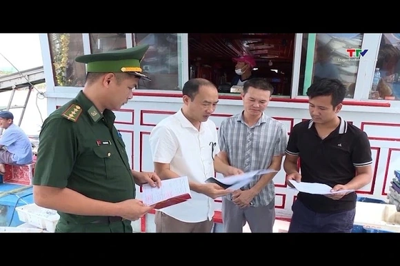 Thanh Hóa hoàn thành định danh 100% tàu cá trên hệ thống quốc gia