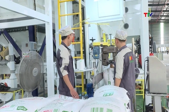 Xuất khẩu nông sản khởi sắc đầu năm 2026