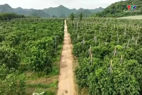 Tăng trưởng xanh mở ra cơ hội cho nông nghiệp Thanh Hóa