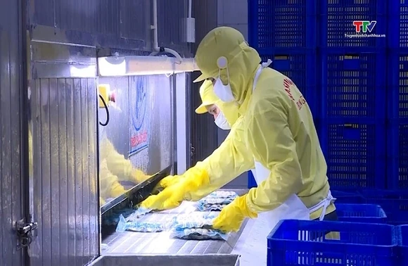Dự báo nhiều ngành nghề khát lao động sau Tết