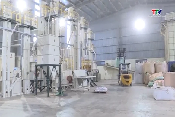 Ứng dụng khoa học công nghệ nâng tầm giá trị nông sản