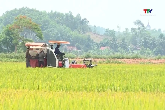 Tăng trưởng xanh mở ra cơ hội cho nông nghiệp Thanh Hóa