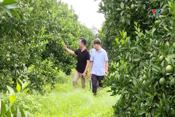 Tăng giá trị kinh tế nông nghiệp