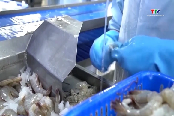 Tôm Việt Nam được giảm mạnh thuế chống bán phá giá tại Mỹ
