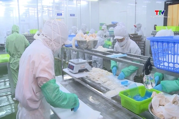 Không thu mua sản phẩm vi phạm IUU xuất khẩu sang thị trường EU