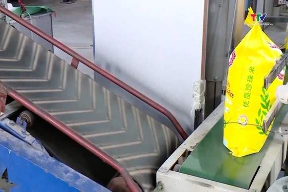 Gạo Việt Nam cạnh tranh ở phân khúc cao cấp