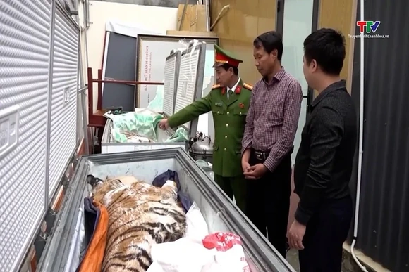 Hướng đến mục tiêu xóa bỏ nạn săn bắn, buôn bán, sử dụng động vật hoang dã trái phép