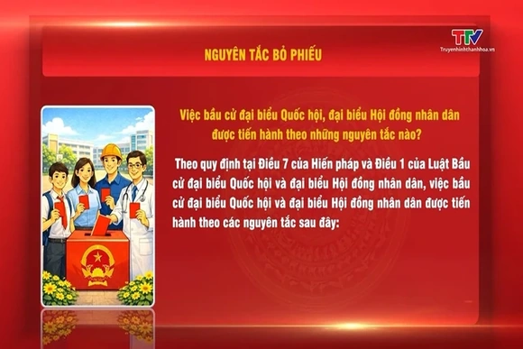 Hỏi - đáp nhanh về bầu cử: Nguyên tắc bỏ phiếu