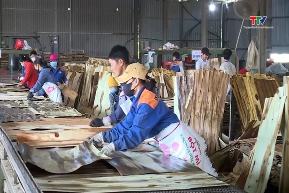 Ngành gỗ Việt Nam hướng tới mục tiêu 25 tỷ USD xuất khẩu vào năm 2030