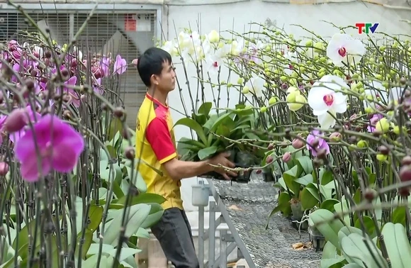Ứng dụng công nghệ số nhằm nâng cao hiệu quả sản xuất nông nghiệp