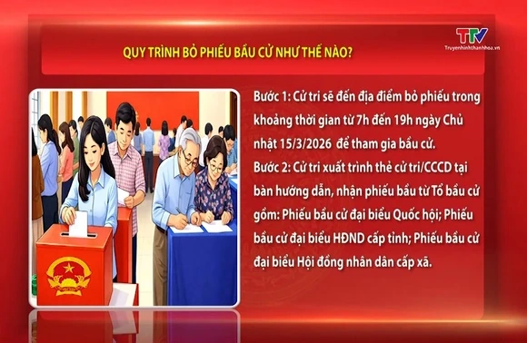 Quy trình bỏ phiếu bầu cử như thế nào?