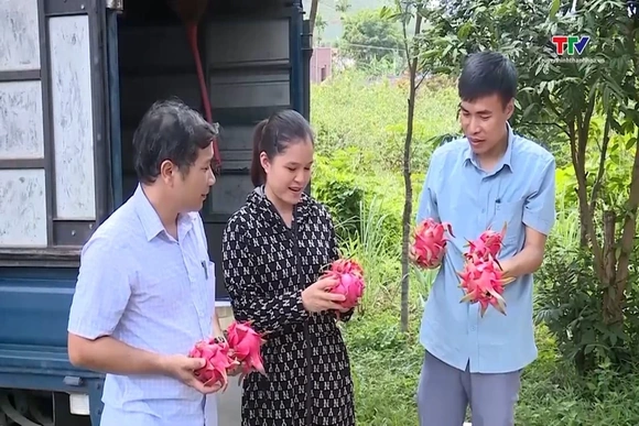 2 tháng năm 2026, xuất khẩu rau quả cả nước đạt 1 tỷ USD
