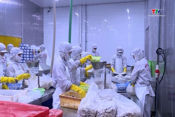 Việt Nam xuất khẩu 11,3 tỷ USD sản phẩm nông, lâm, thủy sản