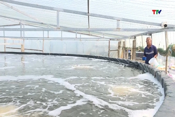 Chuẩn bị các điều kiện nuôi trồng  thủy sản vụ xuân hè