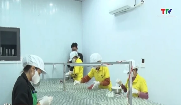 Đề xuất kinh doanh trên thương mại điện tử không phải lập hóa đơn