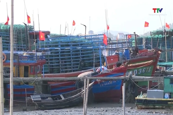 Khai thác hải sản gặp khó khăn khi giá xăng dầu tăng cao