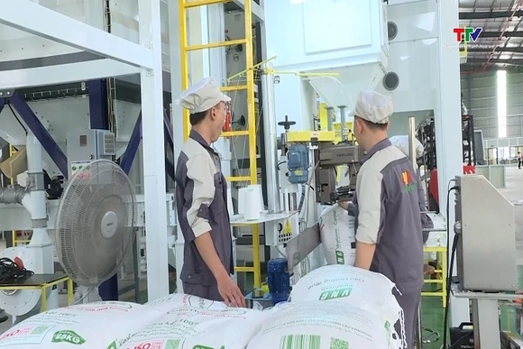Xuất khẩu gạo tăng 5% về lượng, giá bình quân giảm mạnh