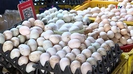 Giá trứng gia cầm giảm mạnh, sức tiêu thụ giảm