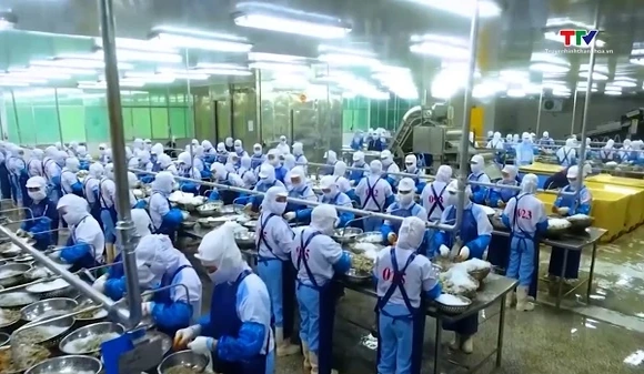 Xuất khẩu thủy sản phân hóa theo thị trường