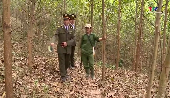 Lan tỏa ý thức bảo vệ rừng