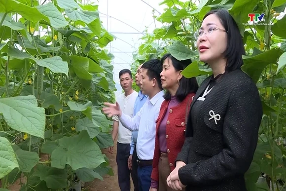 Hiệu quả nguồn vốn Quỹ Hỗ trợ nông dân