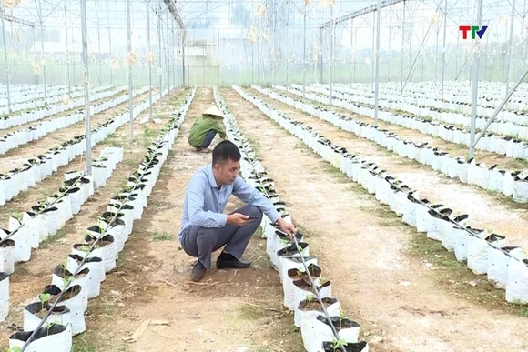 Hợp tác xã thích ứng với chuyển đổi số
