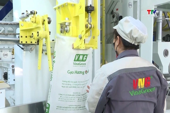 Xuất khẩu gạo tăng 5% về lượng, giá bình quân giảm mạnh