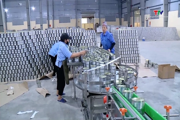 Doanh nghiệp ứng phó với biến động từ xung đột Trung Đông