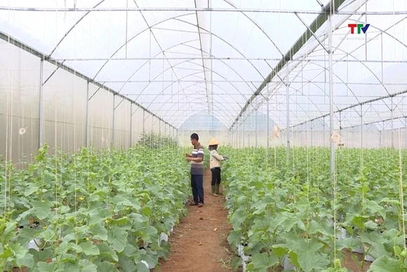 Hiệu quả nguồn vốn  Quỹ Hỗ trợ nông dân