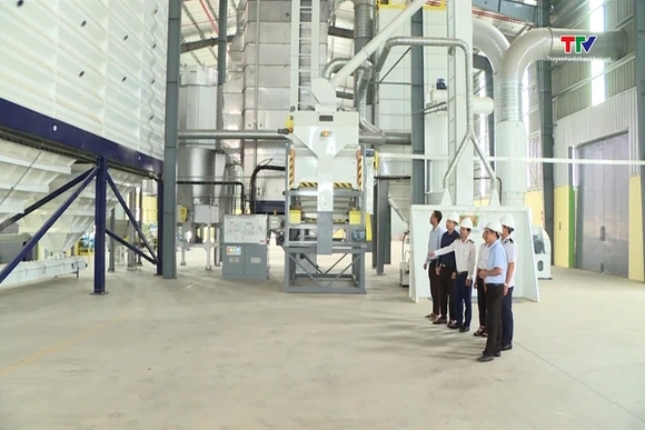 Giá gạo châu Á giảm do nhu cầu suy yếu