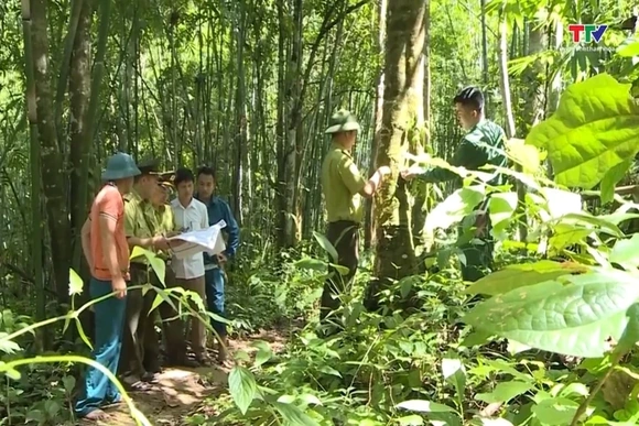 Tăng cường ứng phó với nguy cơ cháy rừng