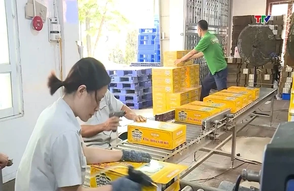 Quý 1/2026, Thanh Hóa thu nội địa đạt 10.794 tỷ đồng