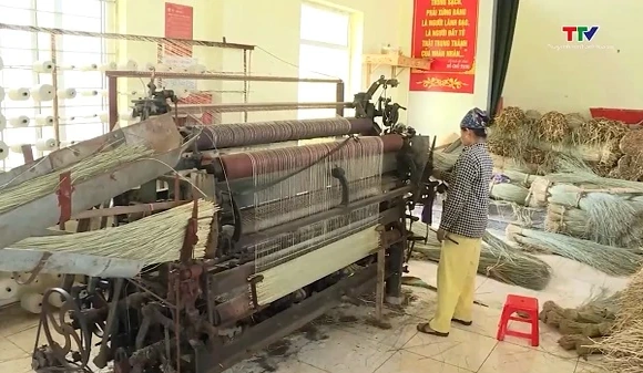Giá trị cói xuất khẩu tăng hơn 6% so với cùng kỳ