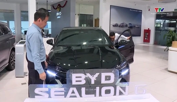 2 tháng đầu năm 2026, cả nước nhập khẩu hơn 31.000 ô tô