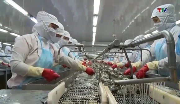 Doanh nghiệp ngành tôm chủ động thích ứng với biến động quốc tế