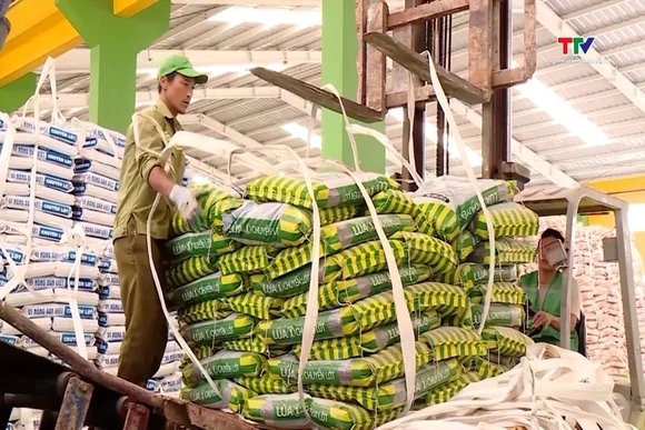 Giá phân bón tăng cao, nguy cơ ảnh hưởng sản xuất nông nghiệp