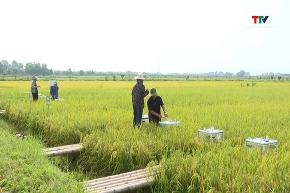 Nông sản hữu cơ vẫn khó khăn tìm chỗ đứng trên thị trường