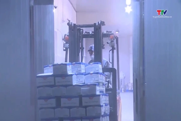 Nông sản Việt ứng phó biến động logistics