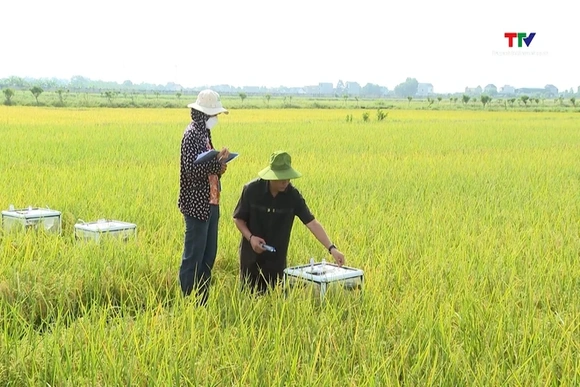 Đề xuất công nghệ chiến lược cho nông nghiệp và môi trường bền vững