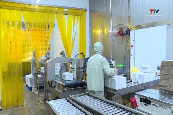Cửa khẩu thông minh mở rộng dư địa cho nông sản Việt tại Trung Quốc