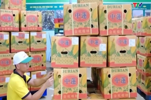 Xuất khẩu hàng hóa của cả nước trong 3 tháng đầu năm 2026 tăng 17%