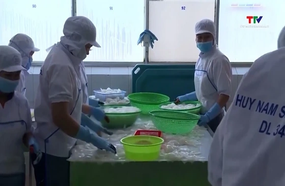 Xuất khẩu mực, bạch tuộc tăng trưởng mạnh