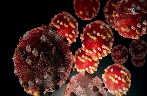 Bộ Y tế thông tin về biến thể mới của virus SARS-CoV-2