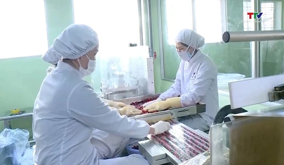 300.000 doanh nghiệp nhỏ và vừa sẽ được hỗ trợ dùng AI
