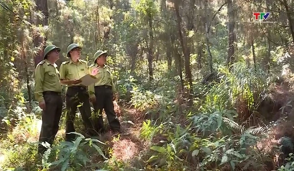 Tăng cường các biện pháp phòng cháy, chữa cháy rừng