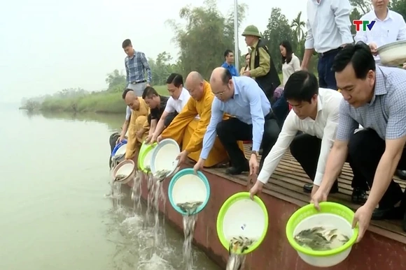 Thả cá giống tái tạo nguồn lợi thủy sản